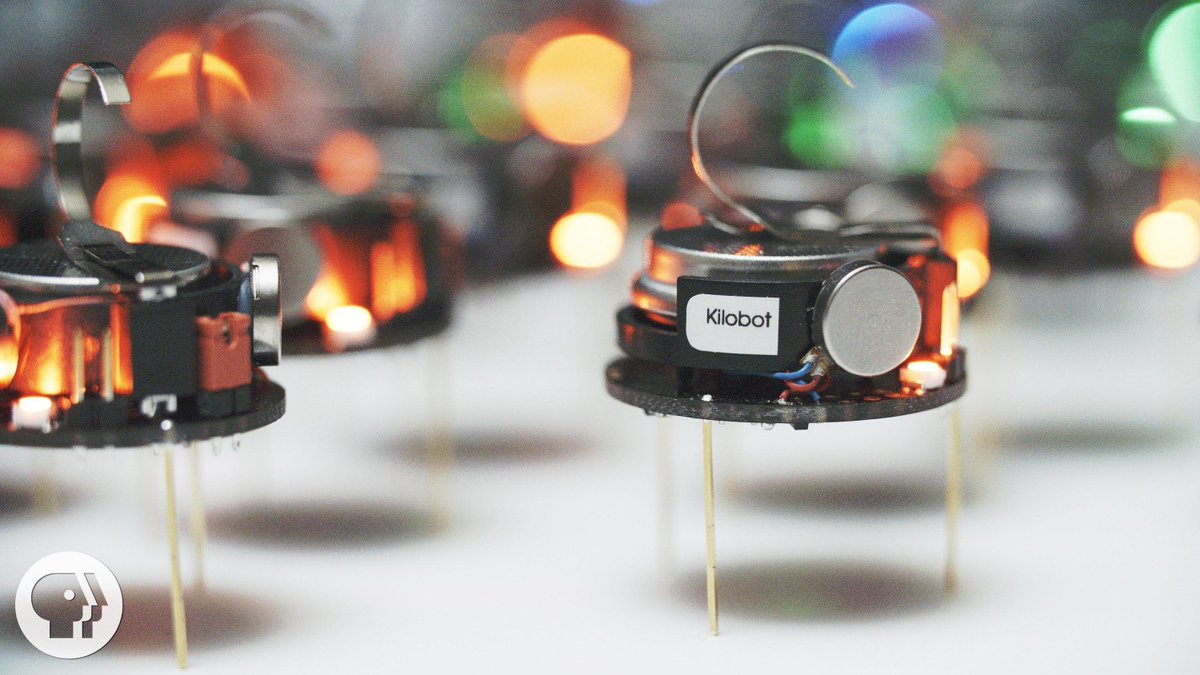 Can A Thousand Tiny Swarming Robots Outsmart Nature?
Via Deep Look bit.ly/2LuWmuB 🌿

#robotswarm #automation