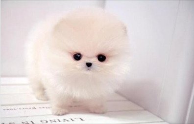 사람이든, 식물이든, 물건이든
가장 아름답게 보이는 
위치와 각도가 있습니다. 

#매일아침 #좋은글 아침고요좋은글
morningletters.storyshare.co.kr  
lifecoo83.tistory.com