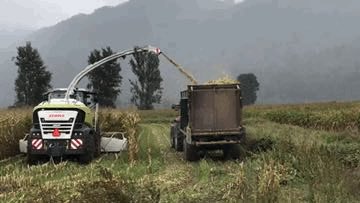 Dror Sharon 🚀🎗️🟦 tweet media