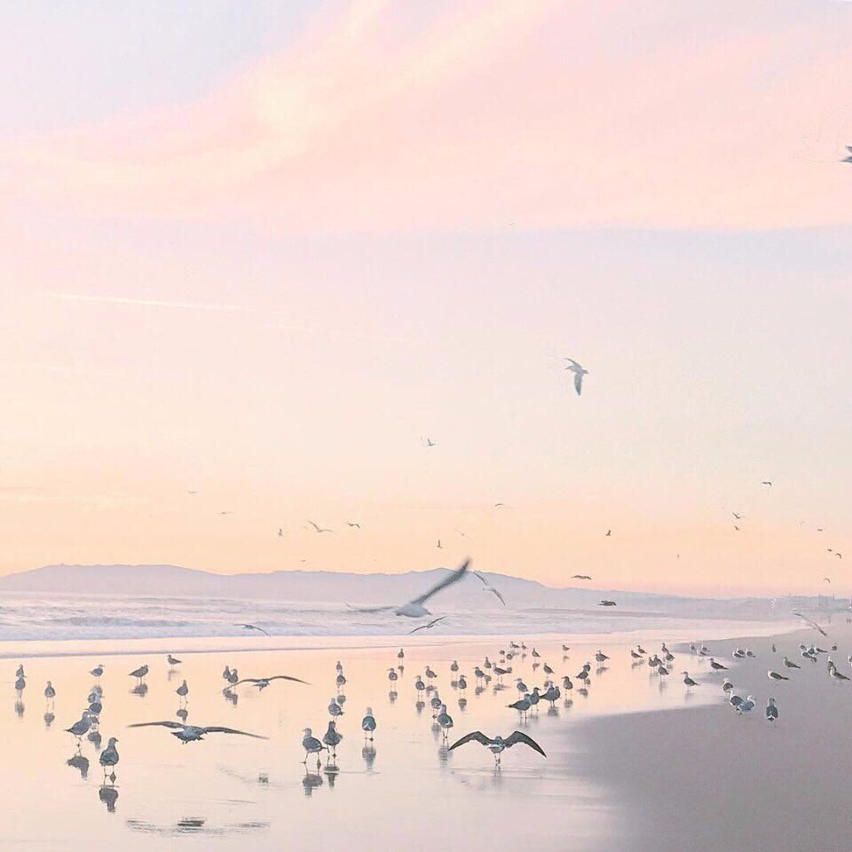 youminimalism's tweet photo. https://t.co/wFwtyUgmi7
