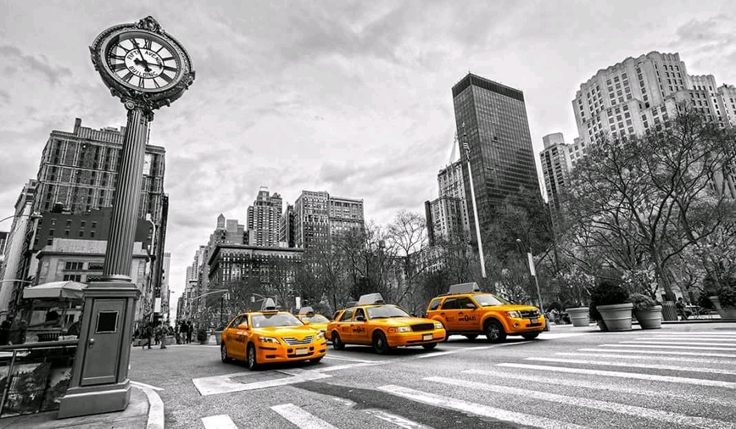 gtccabs's tweet photo. ://gtscabs.blogspot.com/?m=1
Book Taxi with #GTS CAB and get 50% offer on booking. Gts cab is leading taxi service in #dehradun #delhi #haridwar #reshikesh #noida #gurgaon #garidabad. Call now +919716464638 or visit on https://t.co/vtHo4ZGm36
Our fare just start @ 9/Km https://t.co/Xpflayzp7D