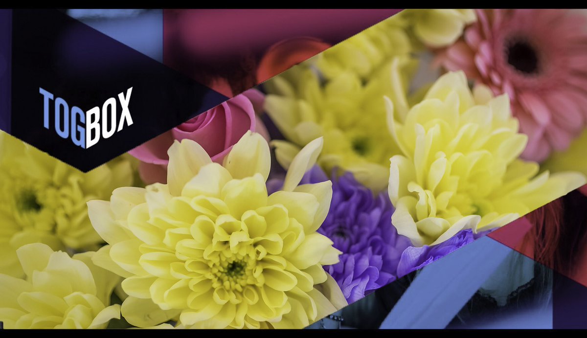 tog_box's tweet photo. Flower stylist required for regular work. Dublin area . Log on for more details #flowers #flowerstylist #stylist https://t.co/LgA0asOq3q https://t.co/oTQmfpwzls