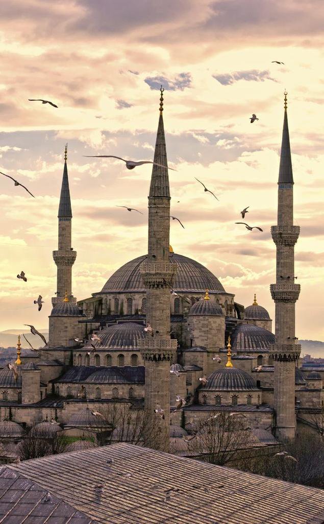 اللهم فوضنا أمرنا  إليك فبشرنا بما ننتظرهُ وأنت خير المبشرين.
 اللهم بحجم جمال الفردوس إجعل لنا ولأهلنا ولأحبابنا نصيب منها... 
         آمين يااارب العالمين