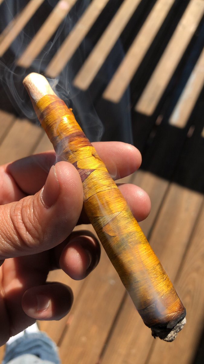 iamDependablez's tweet photo. Have you ever smoked 🌬💨sunflowers 🌻 ??????? #iamLUCKY #dependablez #stiQemup #CannabisCommunity #Thaistick #cannagar #Marijuana https://t.co/NupzwszIac