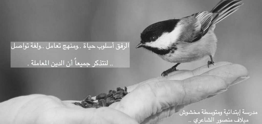9988_foof's tweet photo. #رفق_في_مدارسنا_1440 https://t.co/jb3ZK94gnI