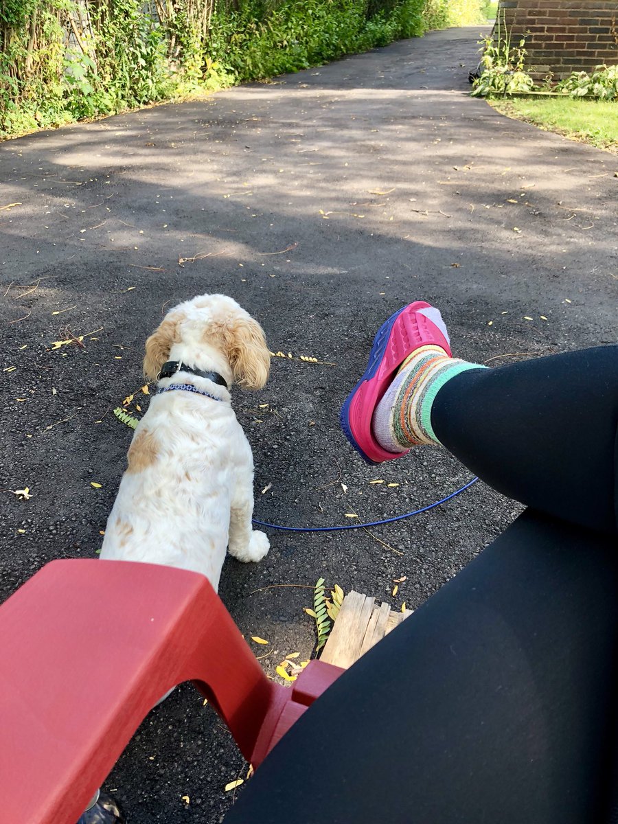 MyPenHistorical's tweet photo. Surely this is as good as it gets. #BabyBuster #BackyardBreak #SocksAndRecoverySandals #OldLadyChic #NeedALandscaper https://t.co/9KdRjjPvXw