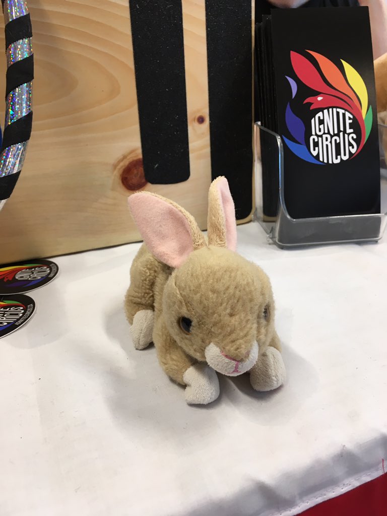 Have you lost a bunny? This little floof is looking for their family! Come by the Ignite Circus booth to rescue them! (Don’t worry — we’re trained bunny helpers.) 🐰#SJCircusFest