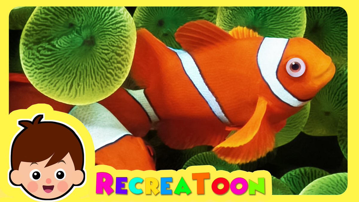 Recreatoon Les Animaux En Folie Debarquent Sur Recreatoon D T Co Poshq4apr8 Videofun Fun Drolementbetes Enfants Bebe Animaux Disney T Co Rzgwhaliiz