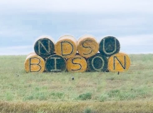 (Photo shared by a fan) Digital billboard are cool, but round bales are much more on brand! #NDSU #AgMarketing 🤘🏼#BisonPride ⁦