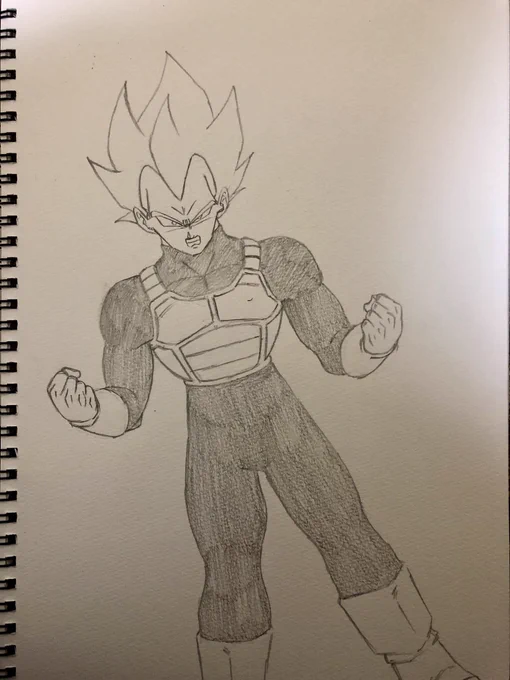 ベジータ
なんか描きたそうかと思ったけどめんどくさくなってやめた。
あと若干顎削った。 