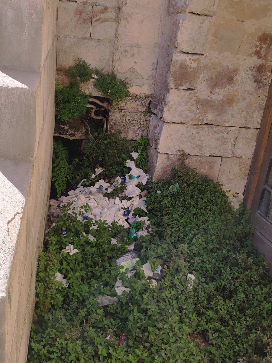 Clean Malta tweet media