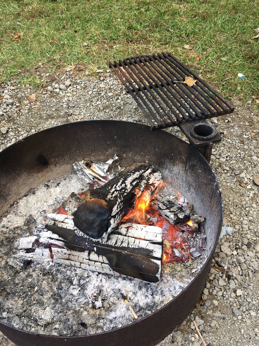jonlippe's tweet photo. Here is a fun one to start your Sunday morning...We found a “walking stick” this morning crawling on the brace of our awning while camping @potatocreekstatepark #indianadnr #campingrocks #walkingstick #potatocreek https://t.co/jnvsQAJCEC