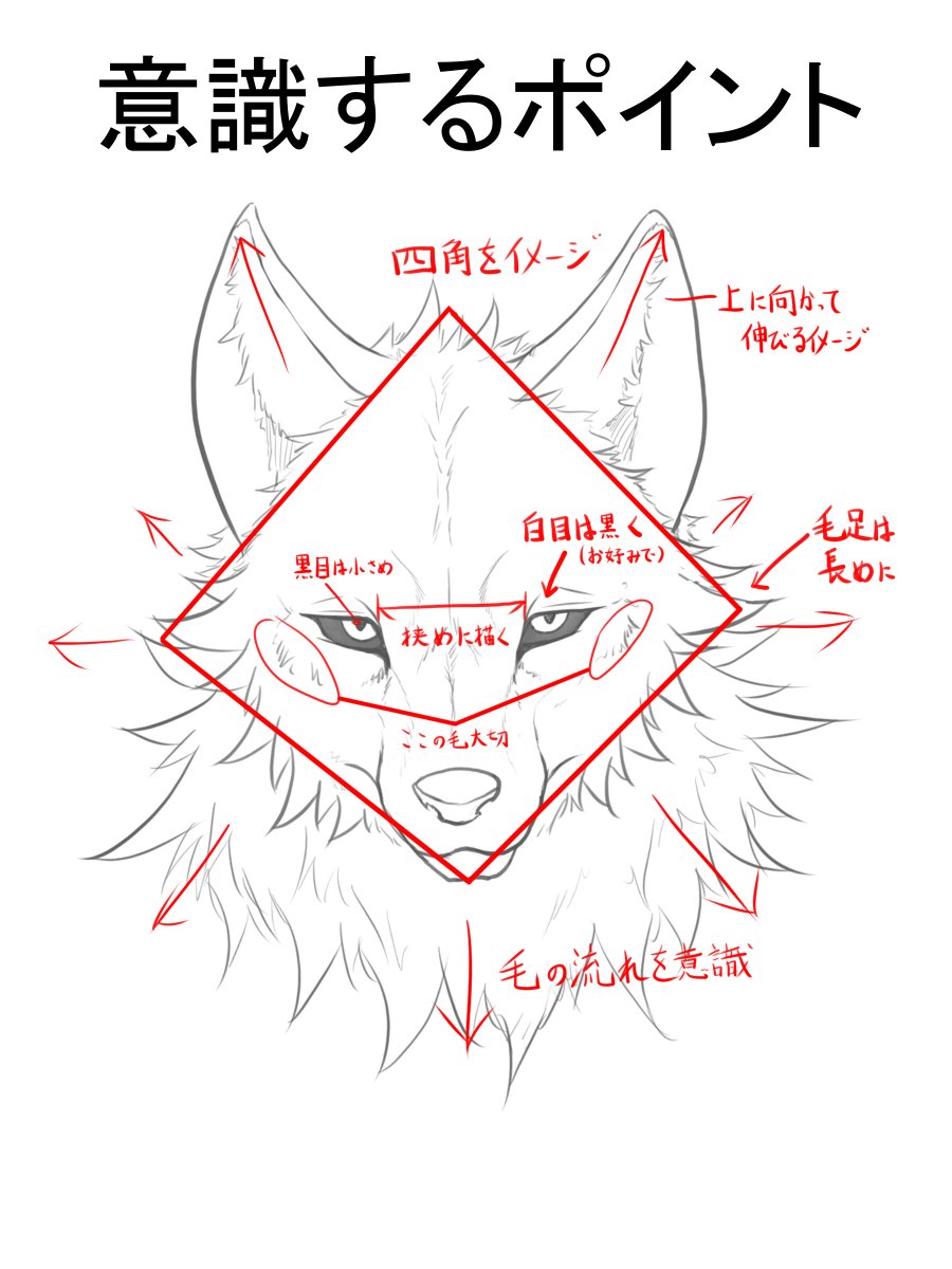 Zex 狼の描き方です 意識するポイントは毛足を長くすることが主だと思います そしていちばん大切なのは資料を見ながら描くことです 顔が歪んでしまうひとは片目を瞑って描いてみると安定します