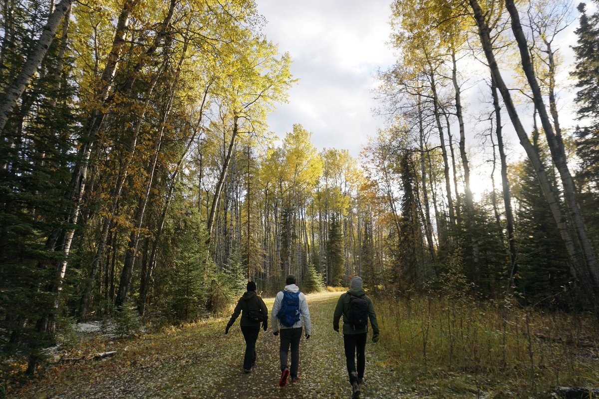 Snow, sunshine, hail, everything together: Saskatchewan’s thrown all the weathers at us but yesterday in beautiful Prince Albert National Park was virtuoso. #GoMedia2018 #ExploreSask #ExploreCanada