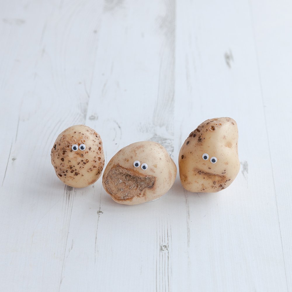 OddboxHQ's tweet photo. These three cutie patooooties were all rejected by the supermarkets for their spots & smiles. How could they?! Just look at those faces 😍♻️🌎 #wonkyvegrevolution https://t.co/RisazmZm4F https://t.co/6kQfF8kPcW