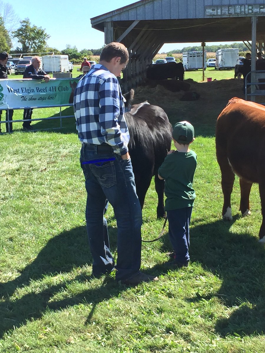 ndunwichmj's tweet photo. Pretty proud of this little guy! Looks like I’m going to be breaking calves and working on our 2019 show string this winter... #peewee #futureshowman #threefairs https://t.co/t93sl6Auq7