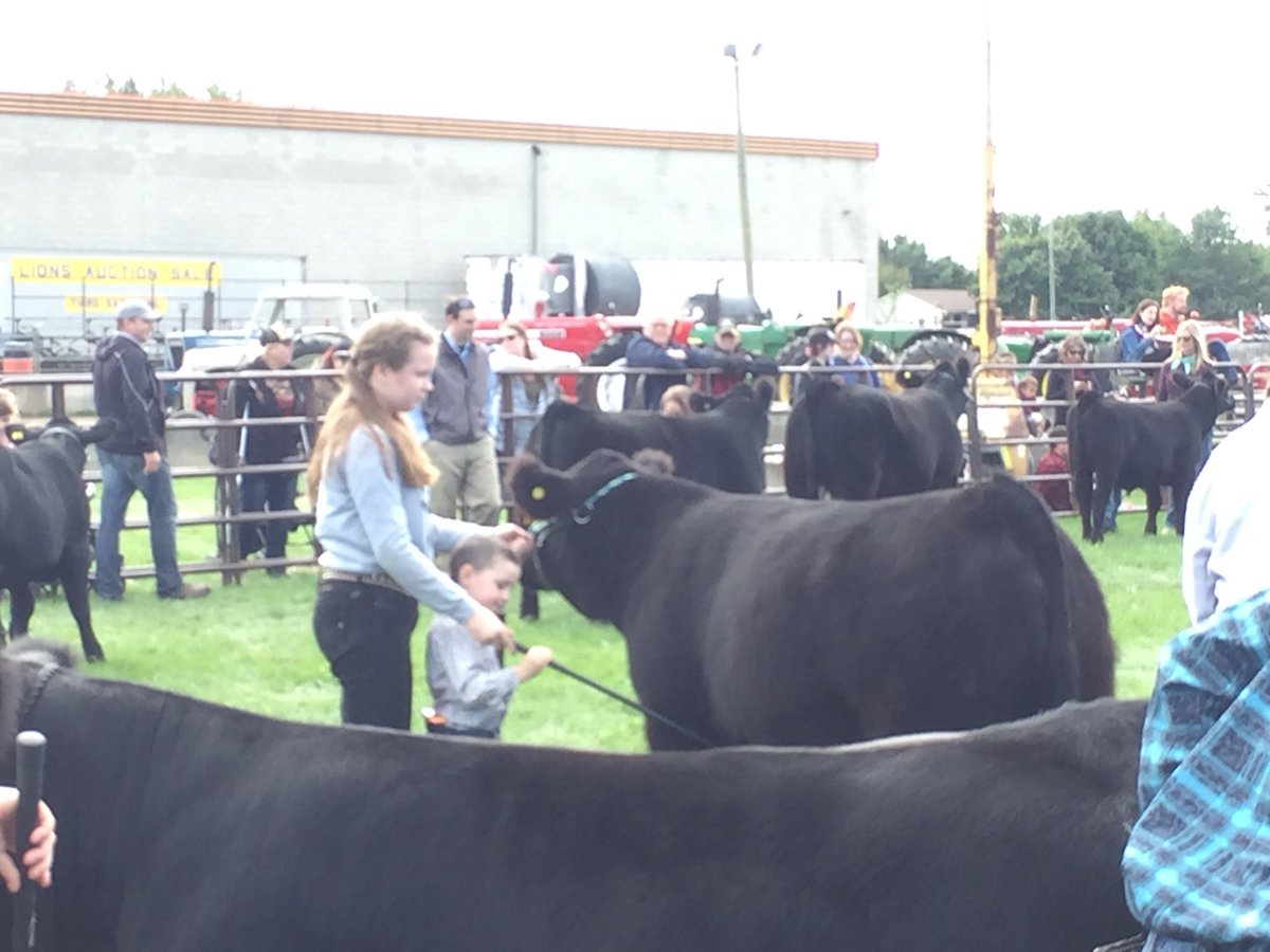 ndunwichmj's tweet photo. Pretty proud of this little guy! Looks like I’m going to be breaking calves and working on our 2019 show string this winter... #peewee #futureshowman #threefairs https://t.co/t93sl6Auq7