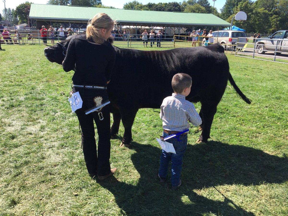 ndunwichmj's tweet photo. Pretty proud of this little guy! Looks like I’m going to be breaking calves and working on our 2019 show string this winter... #peewee #futureshowman #threefairs https://t.co/t93sl6Auq7