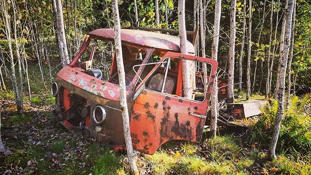 ellitoney's tweet photo. #abandoned ❤️ https://t.co/FIk0UHx7UP https://t.co/SDGS0LHFZC