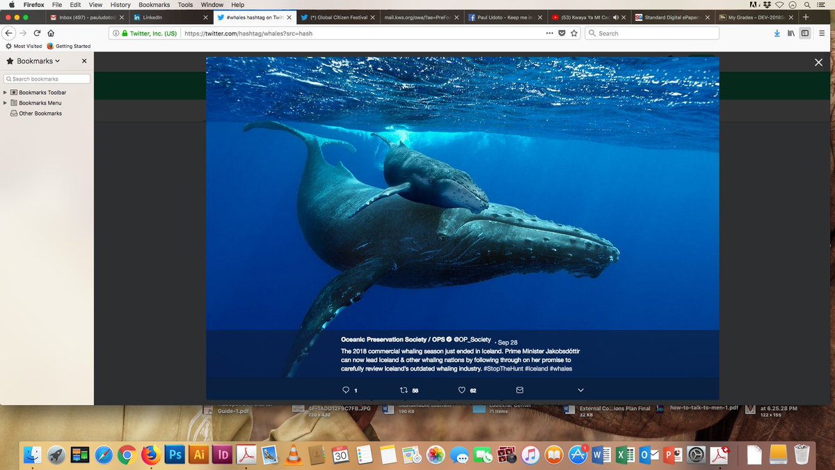 pauludoto's tweet photo. DID YOU KNOW? Kenya hosts the less known #Marine 'Big Five' at the 10 marine national parks and reserves in the Indian Ocean. #Kiunga #Watamu #Malindi #Mombasa #Kisite #Mpunguti https://t.co/Y8XL5vGb9k