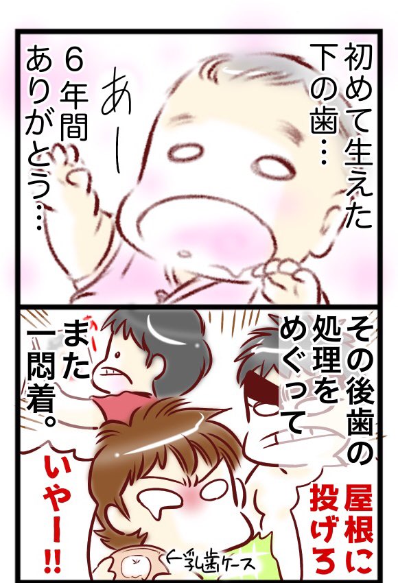 ようやく、息子の歯が抜けました! #育児漫画
改めて見ると、凄くちっちゃい歯でした。
今までありがとう。 