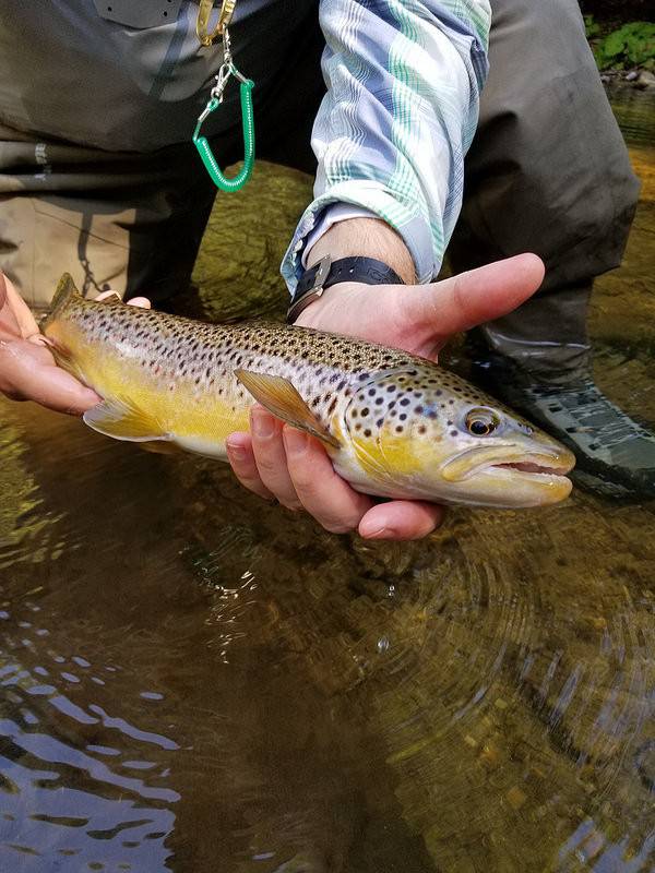 Graham Bristow tweet media