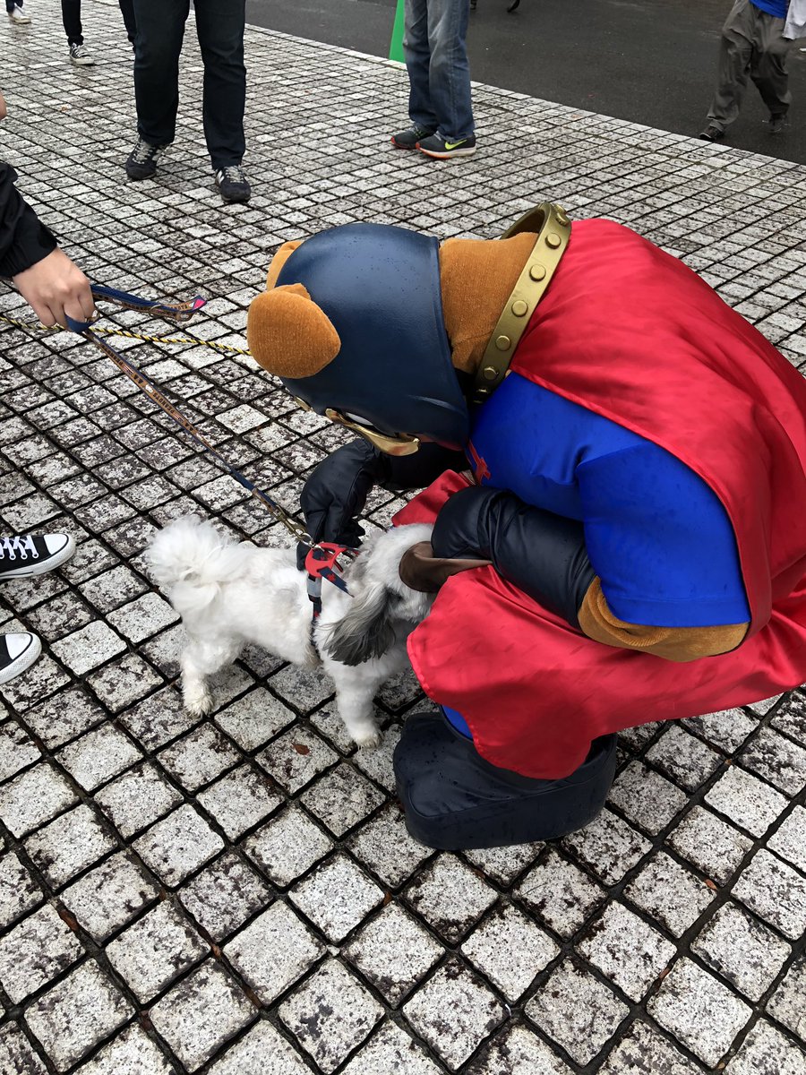 犬同士 犬同士