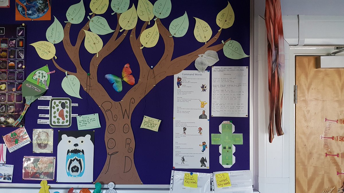 Even at the weekend Unity, Fenland are still sharing their work! Particular thanks to Hannah for this Lexonik display! #literacyforlife <a href="/vonya_v/">Vonya Mundy 🇮🇪</a>