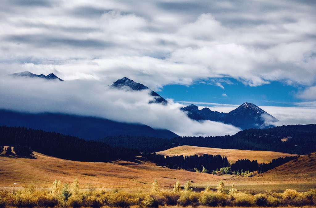 shawnnewton's tweet photo. Fall looks pretty good on you Montana. #MontanaMoment https://t.co/Y7MStlGT6d