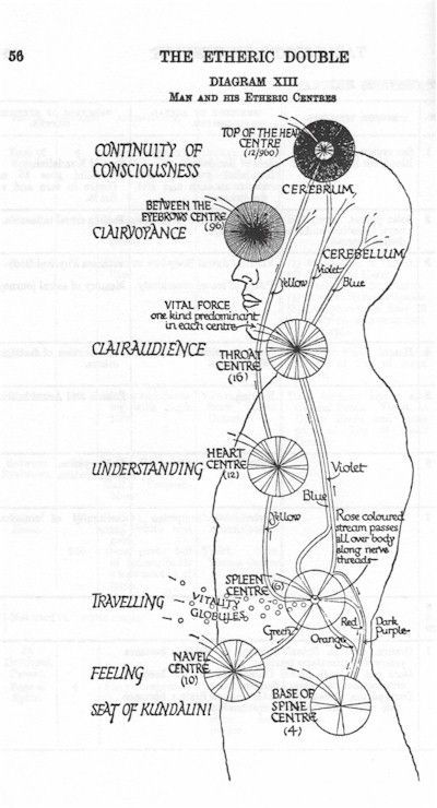 The Etheric Double. Man and his Etheric centres.