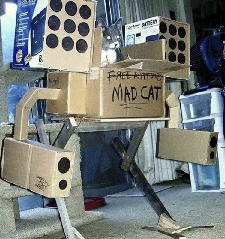 [雨] ‎ѕσυѕєтѕυ (@umbrellabishie) on Twitter photo 