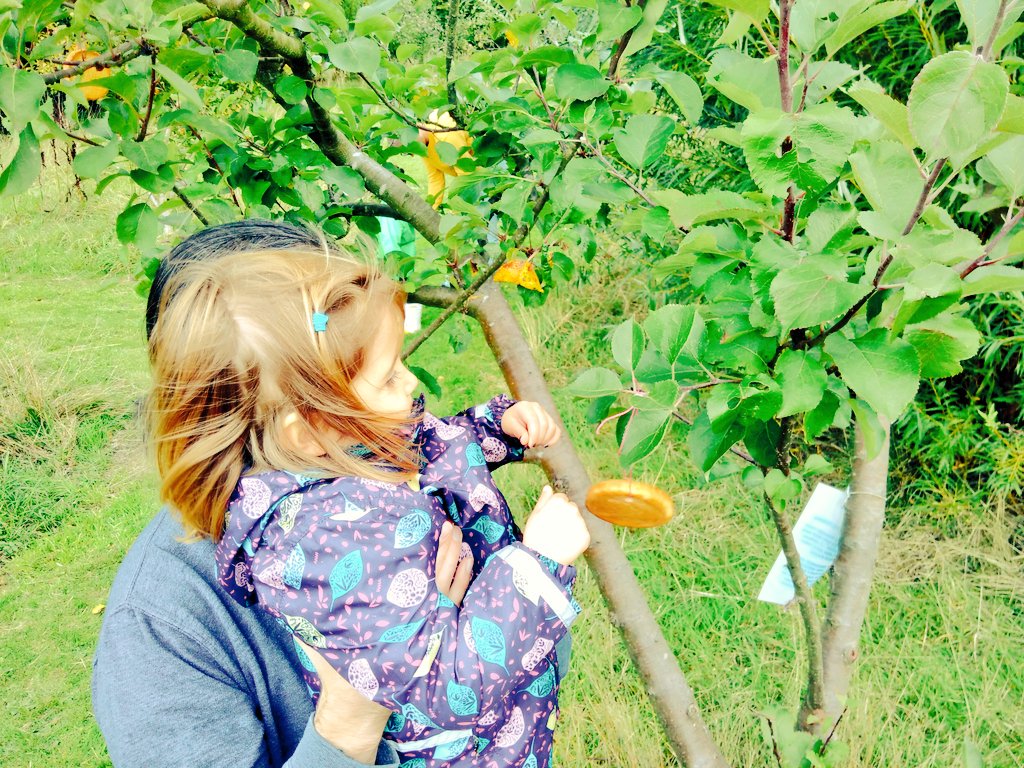 HelpBritBloss's tweet image. Great to lead a (slightly out of season) Wassail in Hollingworth, Tameside today for a little toast hanging, cider supping and even the dogs, owls and ferrets joined in with the singing. #Wassail
