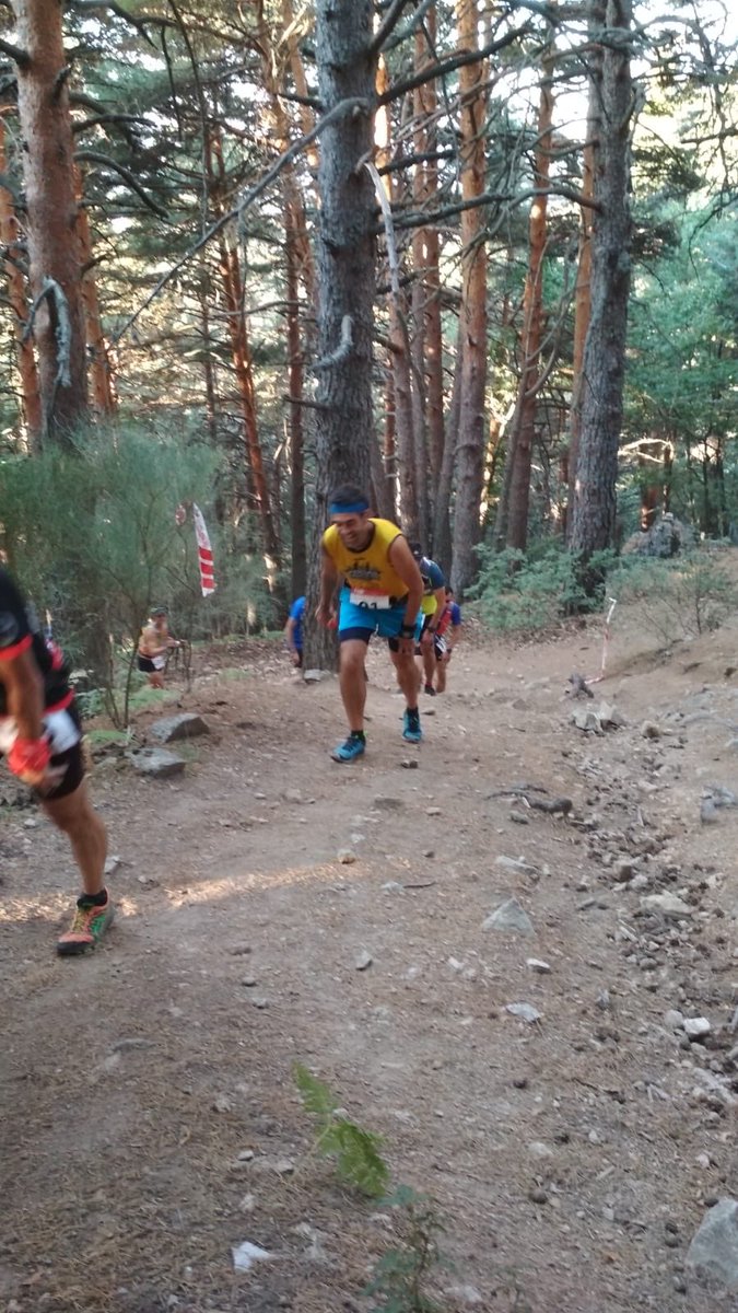 Hoy tuvimos a perlas en el Cross de las dehesas y en el triatlón de Alicante @VTriatlon