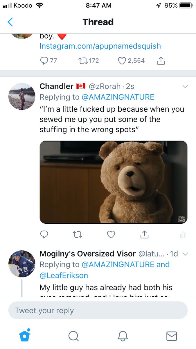 Chandler 🇨🇦 tweet media