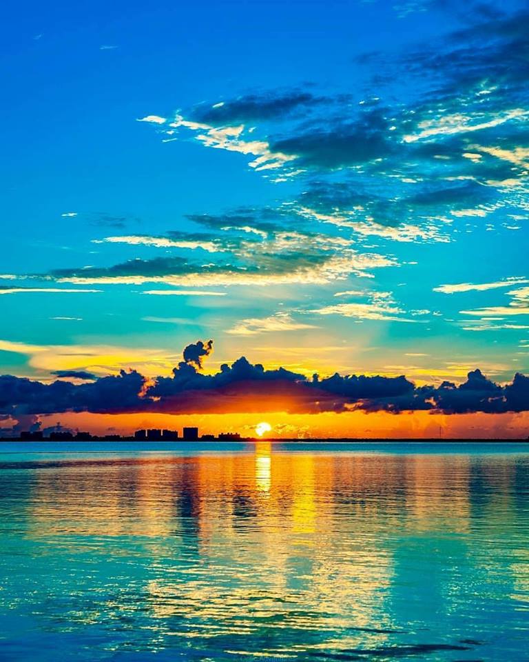 Nimbus Investment (NimbusInvestors) Twitter