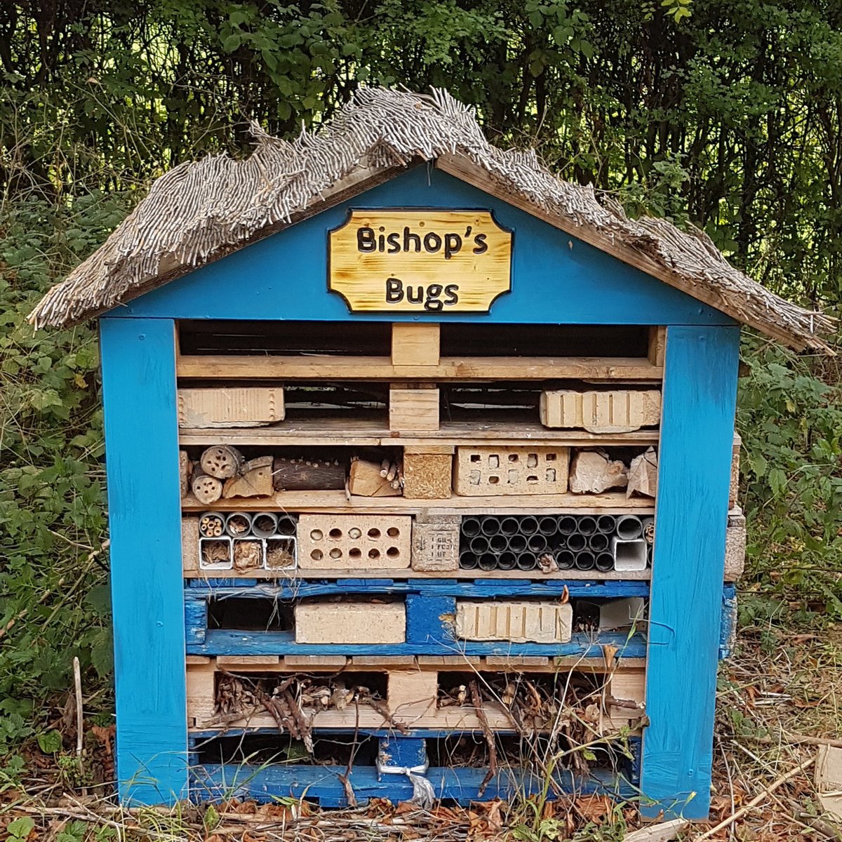 Bughotel at school is looking good #allotment #gardening #vegtables #veg #fresh #thegoodlife #edible #bughouse