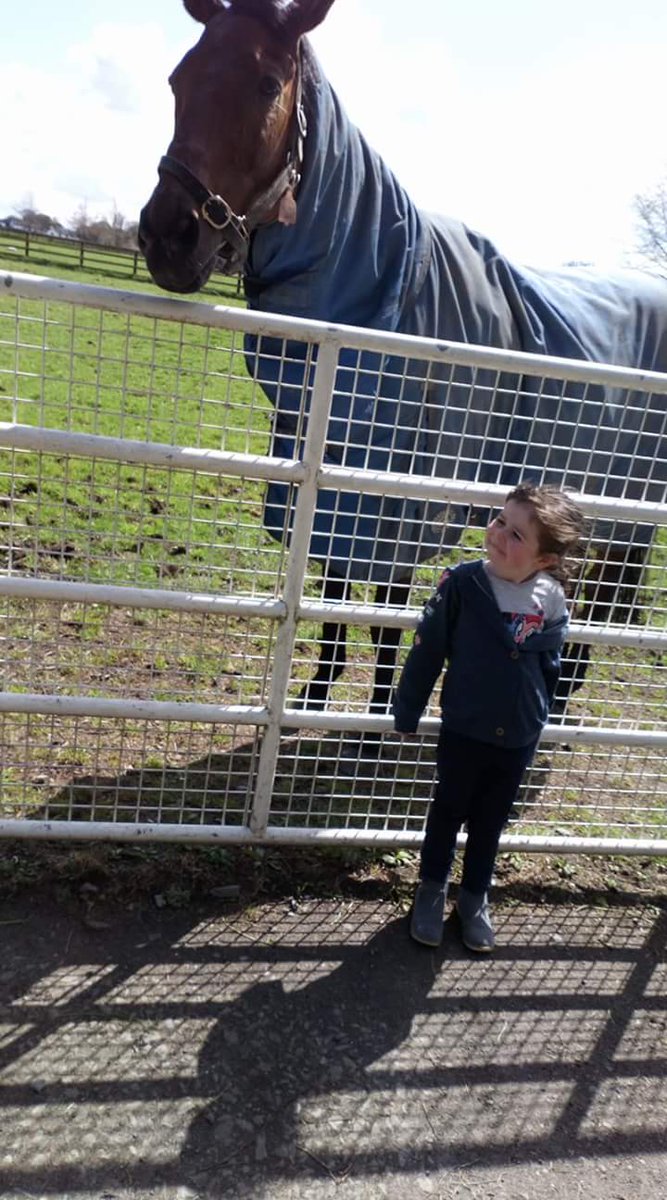 AngelaFaney's tweet photo. When you bring your 5 year old niece to see kicking king at the irish national stud, no fear in her at all round horses, shes taking after her aunty ❤🏇 https://t.co/6MdkWNhCAK