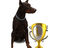 Good Neighbor Vet tweet media