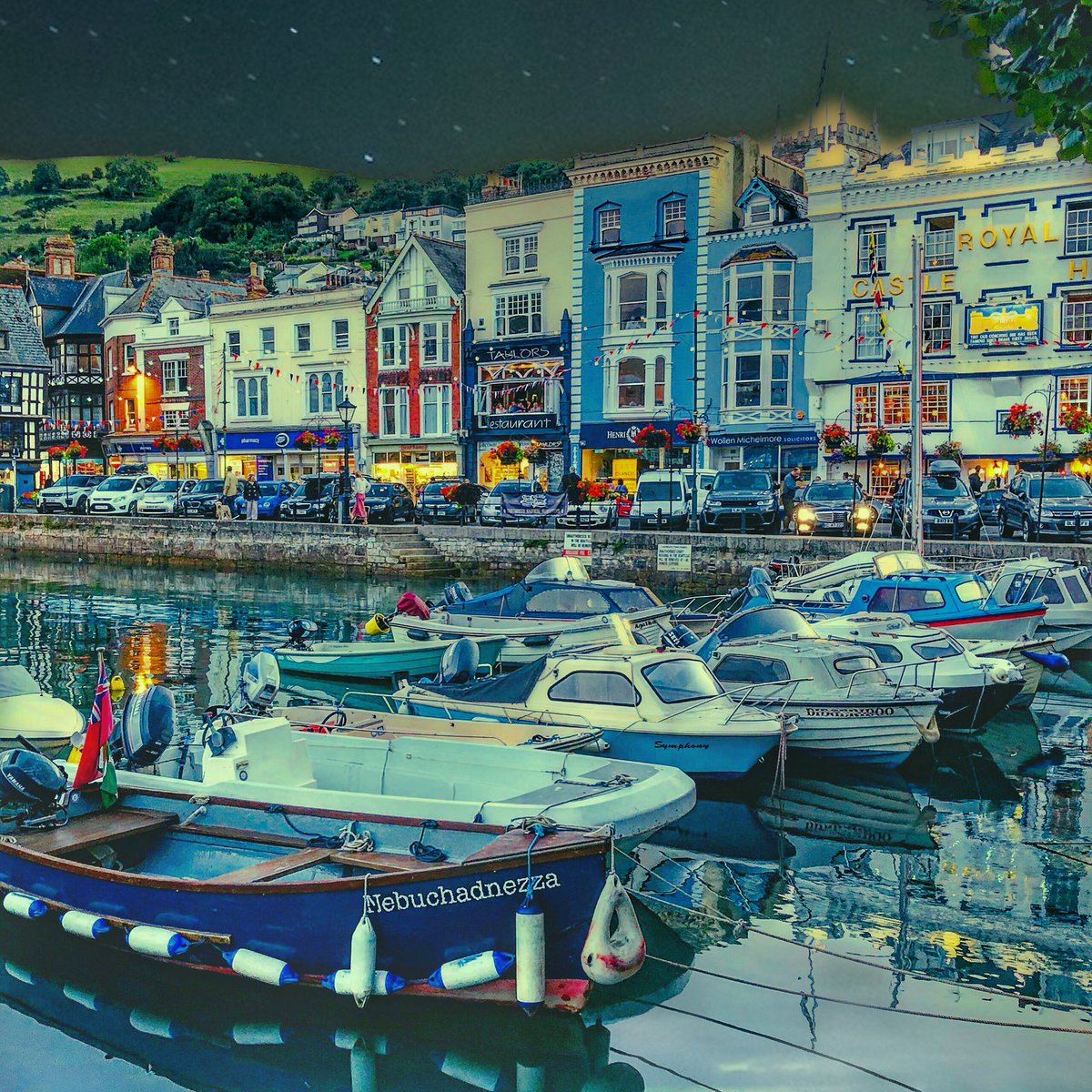 TOWH_Dartmouth's tweet photo. Beautiful #Dartmouth around the #Boatfloat https://t.co/0oaiLIBqEo