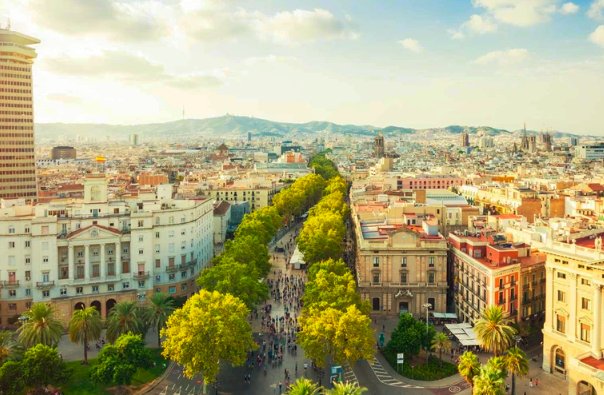 Spain NOW! tweet media