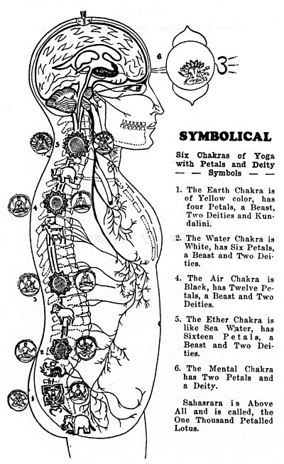 The Etheric Double. Man and his Etheric centres.