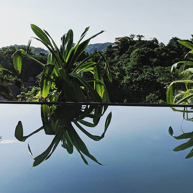 LesRockalouves's tweet photo. Le paradis existe.
.
.
.
.
Caroline est au Mexique cette semaine, et elle nous enverra beaucoup de chaud par livraison spéciale! #instalouve #mexico #vacances #blogueusequebec https://t.co/OBRBl0K32E https://t.co/amoky4lBS3