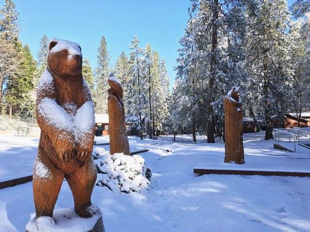 GoldCountryCR's tweet photo. We're taking reservations for winter at Gold Country Campground.
We can't guarantee the snow but we can guarantee everything else the campground provides for a wonderful off-season stay at off-season rates.
Check them out here...
https://t.co/ov380XywhM https://t.co/T7lHjeqNee