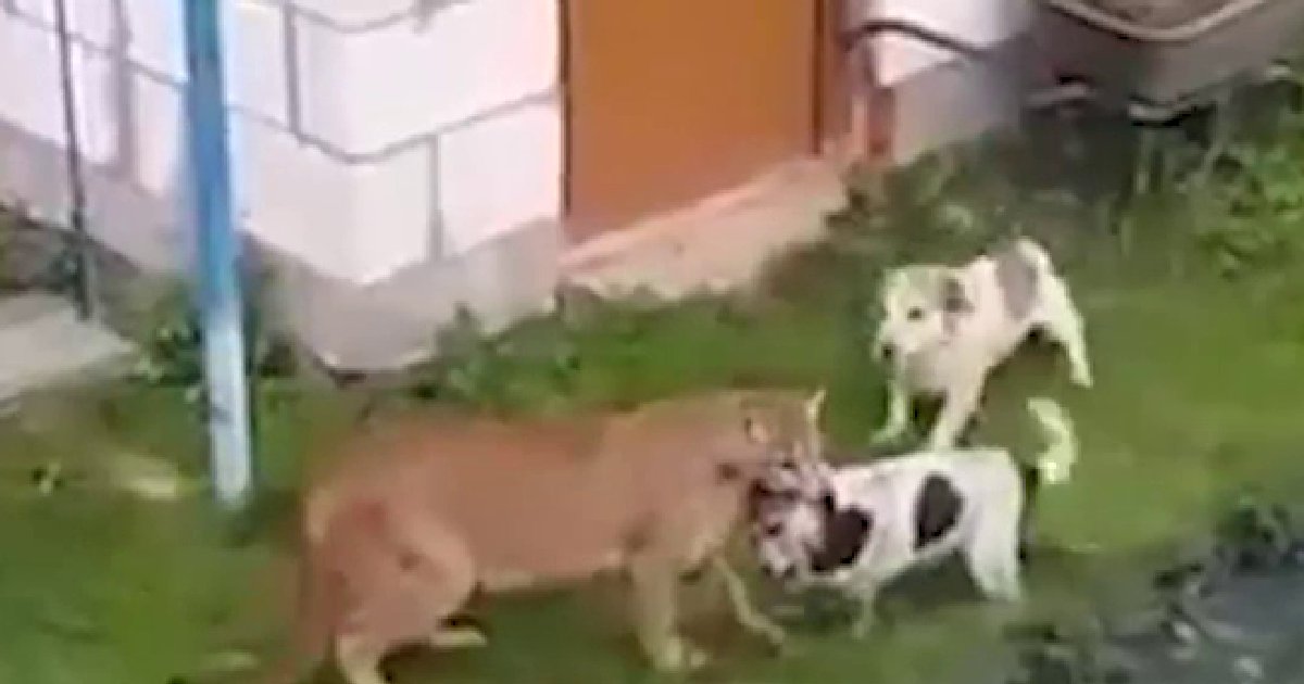 Опасность для окружающих