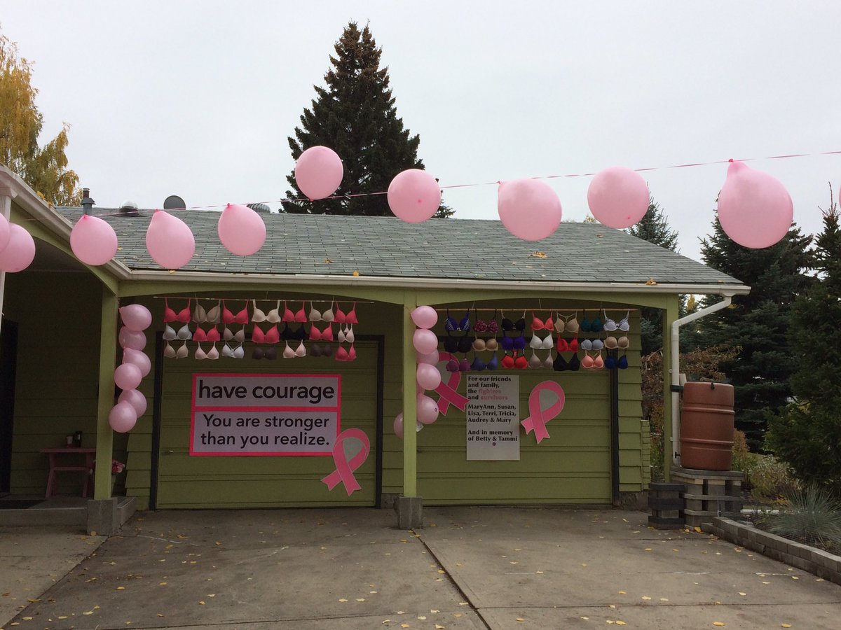 haley_nicoll's tweet photo. Together we can beat cancer #CIBCRunfortheCure #teamvision @visiontraveller https://t.co/snBvirRXHi