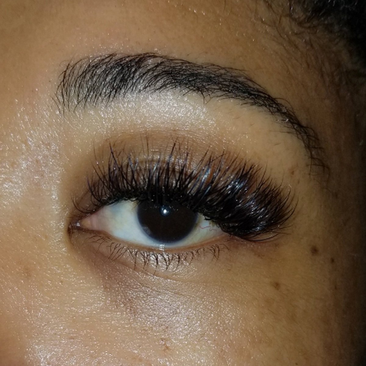 Beauty_By_Bash's tweet image. Who doesn't love a good Volume Set?? Used: @merakilashes .07 D+ Volume Lashes
.

#BeautyByBash #LashesByBash #GetLashed #EyelashExtensions #WestHills