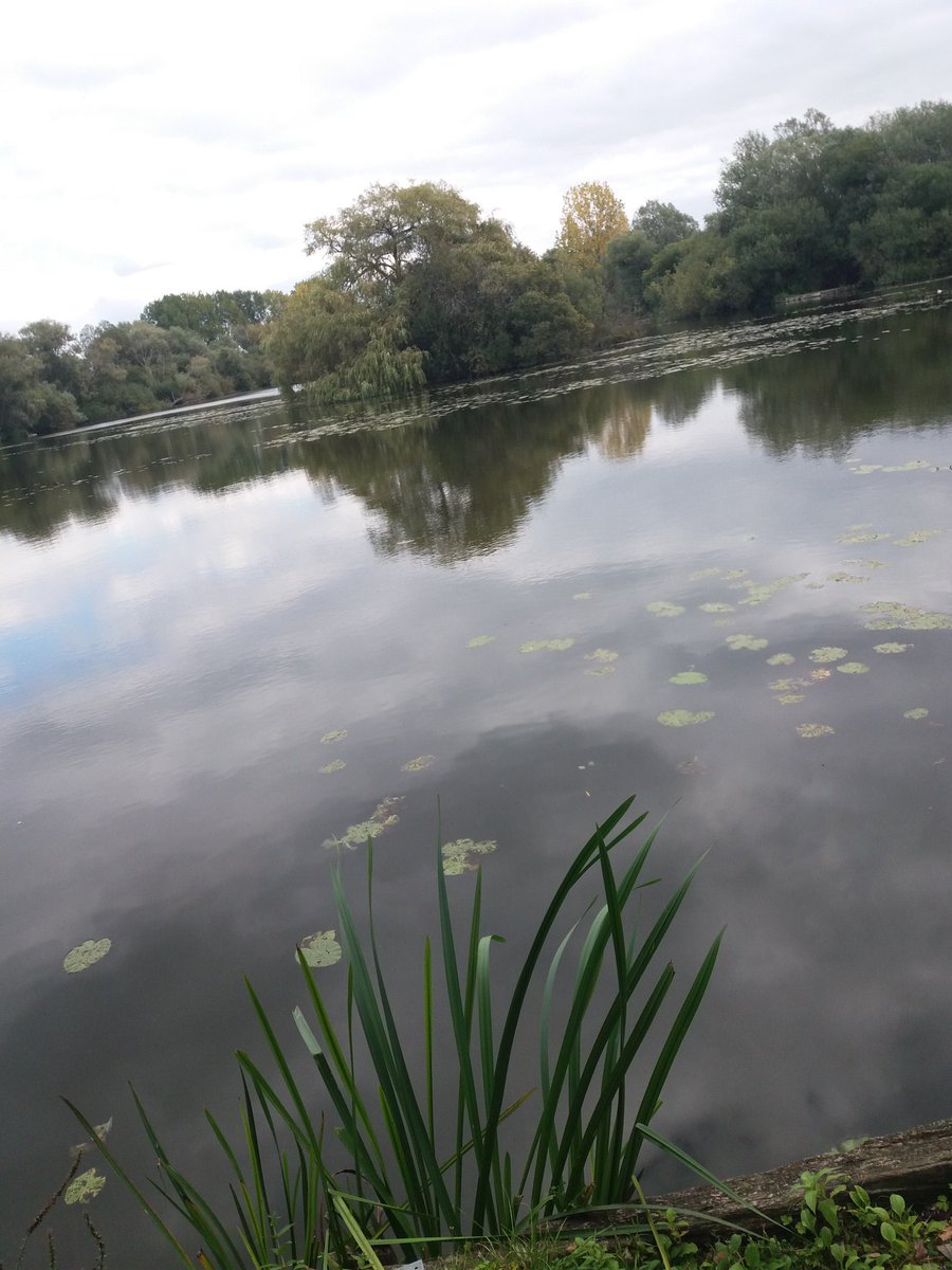 KerriePayne11's tweet photo. Loving the #lake today with @stevepayne123 and #nellynjax  #GetOutsideDay #NaturePhotography 🌳🌿🍂 https://t.co/WjavvSuqCV