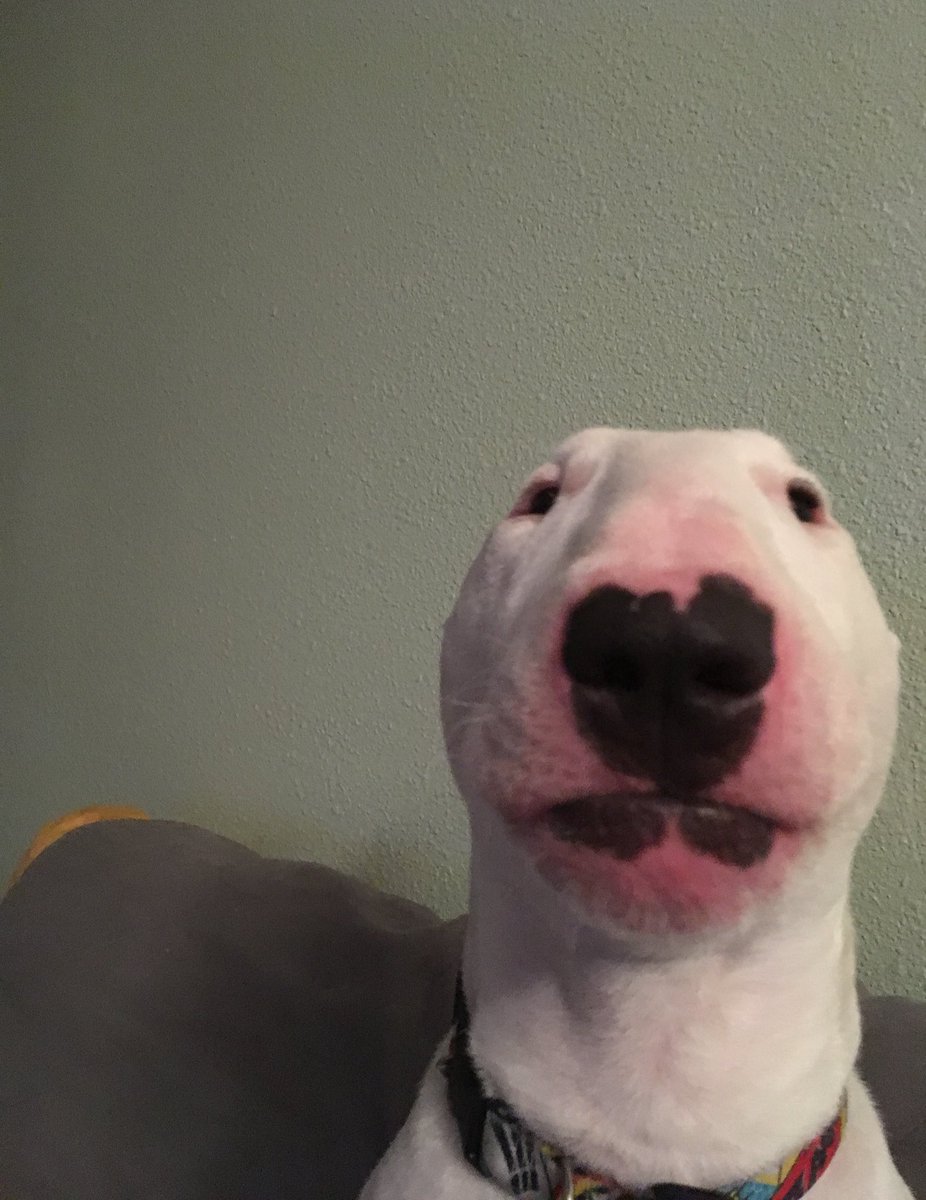 Oh Heck Not The Front Camera Dont Have Any Makepup On When You