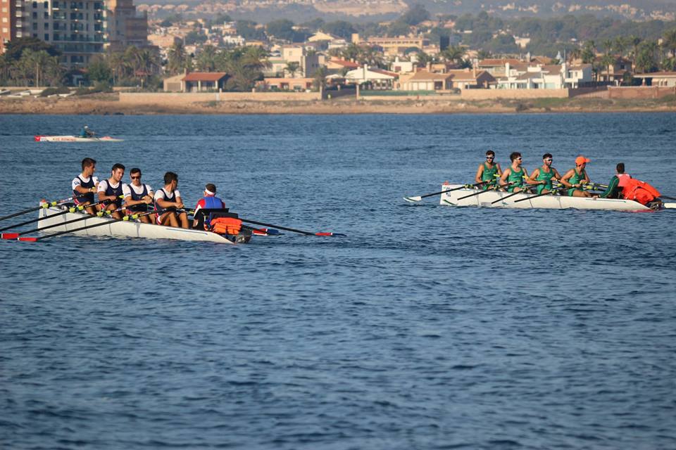 remoandaluz tweet media