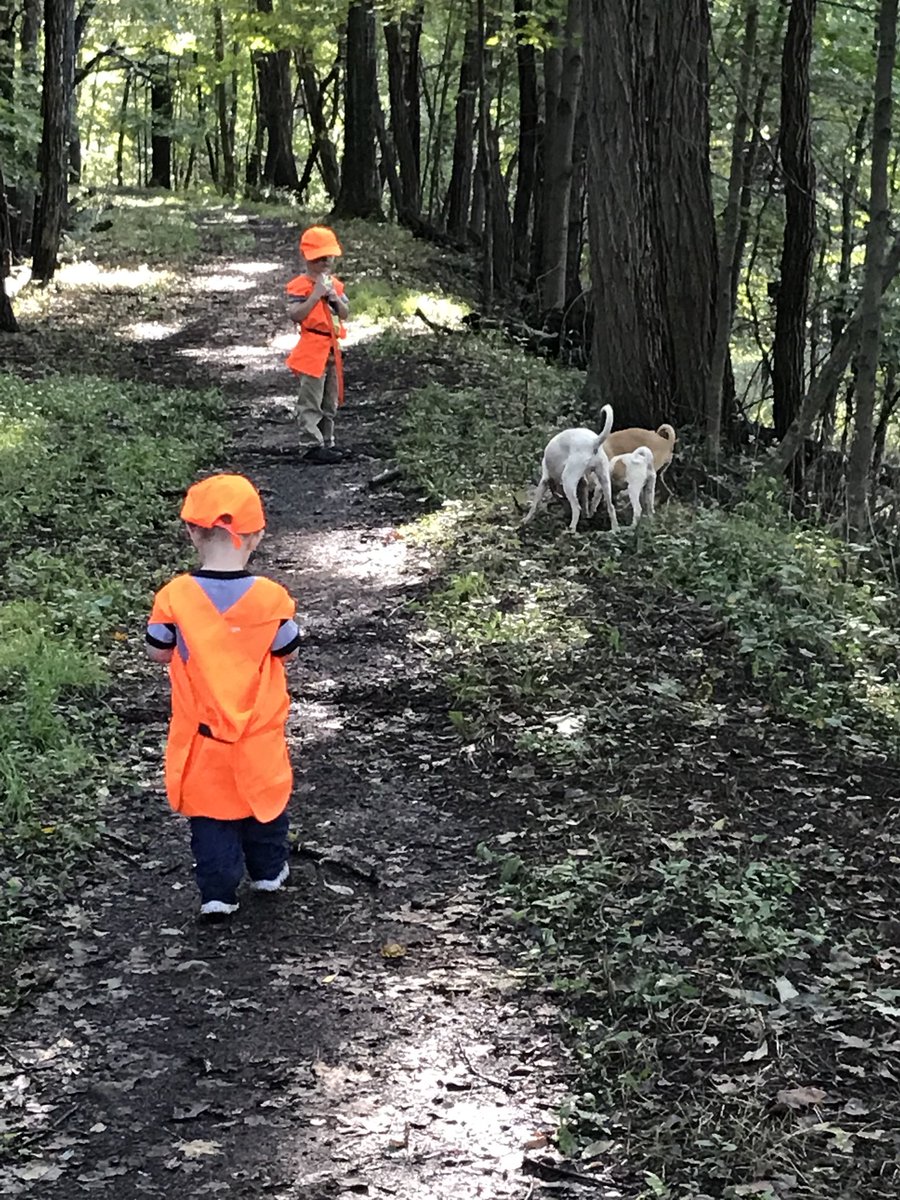 GrayFeist's tweet photo. #Squirrel #dogs on Instagram! #feist https://t.co/qejGkJZBb7 #squirrelhunters #R3 https://t.co/0uzWGh6uaG